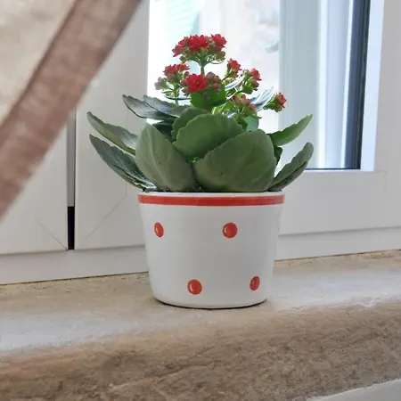 Le Nicchie - Ospitalita Di Puglia Holiday home